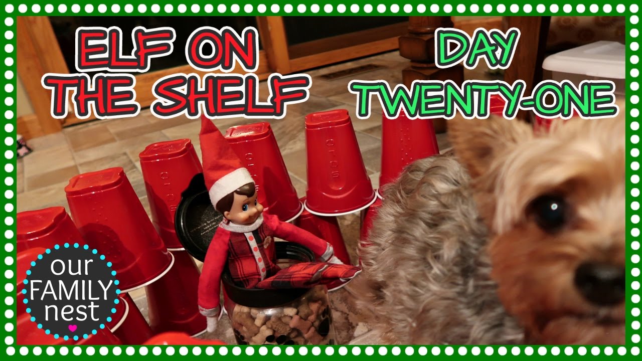 ELF ON THE SHELF DAY 21 - TRAPPED OUR YORKIE!