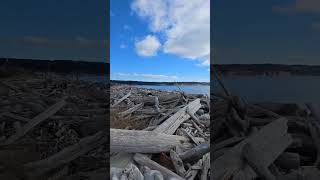 Details Tranquil Tides 🌊 Slow Motion Beach for Deep Relaxation into black screen News