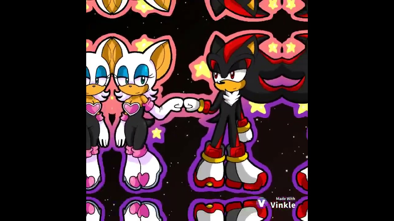 Shadow and Rouge friendship