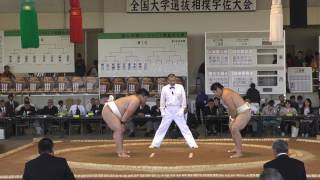 20170503 全国大学選抜相撲宇佐大会 個人3回戦 (ベスト32 BCDパート)