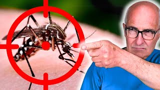 DENGUE? You Can't Get Me! by EL ANGELITO 100,931 views 6 days ago 15 minutes