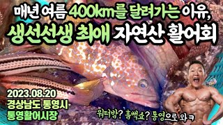 “너무 싸게 파시는거 아녜요?”상인분께 미안해지는(?!) 남해안 최고의 가성비 제철 모둠회😍