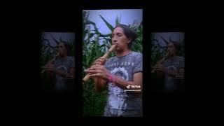 BETO SALAZAR  - THE LAST OF THE MOHICANS & CHIQUITITA