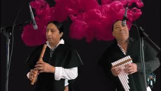 Llaqui Llaqui ( Sanjuanito ) Cover  @ruanasalasaka8951