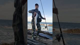 Pesca de lubina en Cantabria