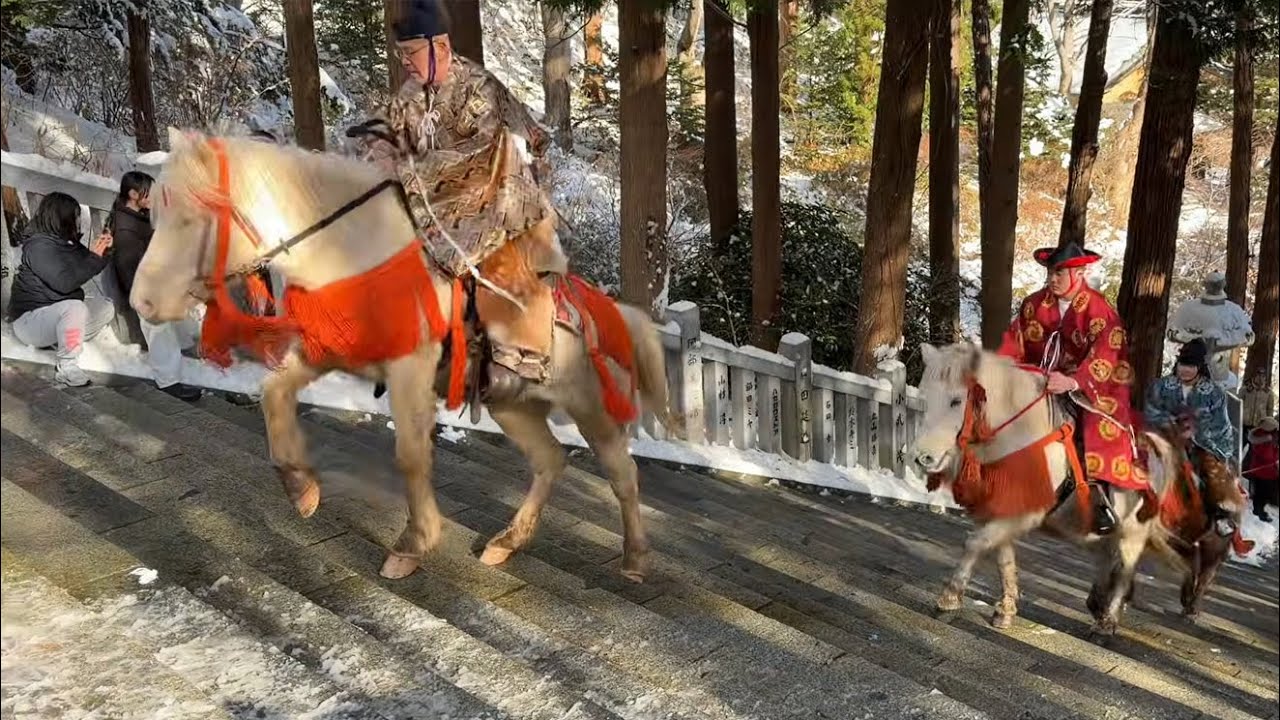 北海道 函館八幡宮 🐴新年騎馬参拝（視聴者お祓い有） 2026.1.2