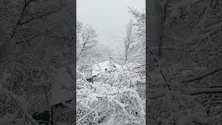 İzinver Kabeni Göreyim Allah Ilar Şu Üre