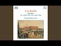 Miniature de la vidéo de la chanson Partita No. 3 In A Minor, Bwv 827: Corrente