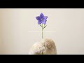 早晨輕聽 Nordic Morning (1 Hour) 🌿 Soft Acoustic Guitar for Deep Focus, Work & Reading