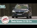 Škoda Octavia 2.0 TDI Evo 2020 (2. časť) - Nový interiér, podvozok a väčší kufor