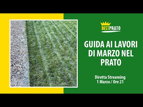 Video: Lista delle cose da fare a livello regionale: lavori di giardinaggio per dicembre nel sud-est