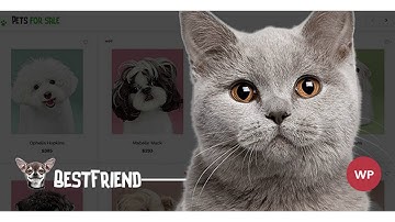 Bestfriend - Pet Shop WordPress WooCommerce Theme | Themeforest Website Templates and Themes