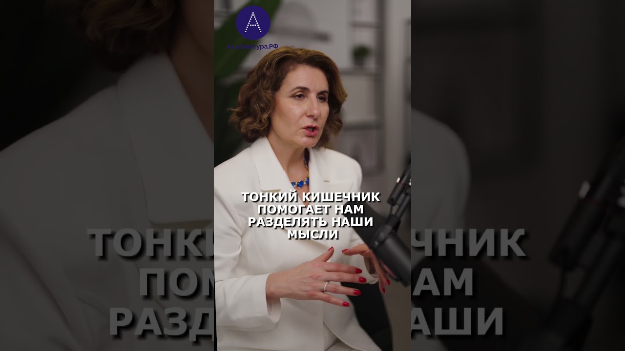 Тонкий кишечник в китайской медицине