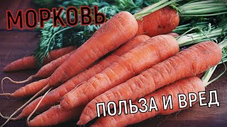 Вкусная и ароматная морковь. Чем она полезна для здоровья