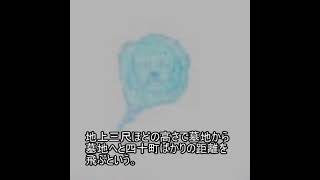 妖怪大全集398 小右衛門火