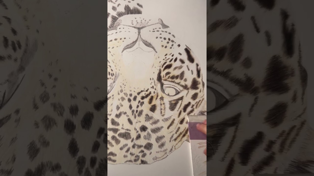 Filling in the fur 🐆