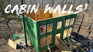 Cabin Build Ep 5: Framing and Sheathing the CABIN’s 16ft Walls! TIMELAPSE!