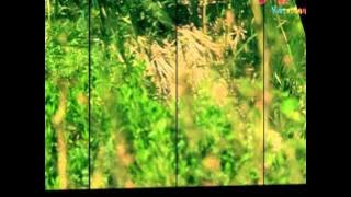 اصطفاك المتين - عبدالقادر صباهي | قناة كراميش Karameesh Tv