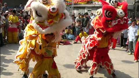 [CHO THUÊ] MÚA LÂN-XIẾC-ẢO THUẬT 091 555 2031