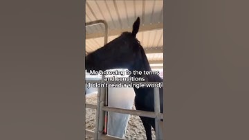 Memes I Found In My Basement PART 9 I Thank you ALL FOR 1K SUBS!