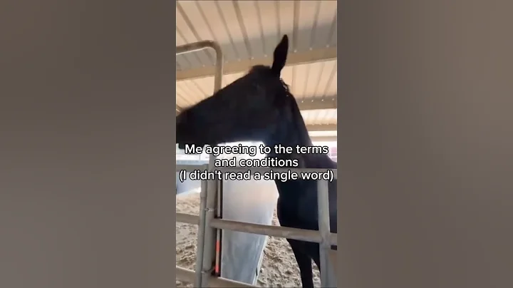 Memes I Found In My Basement PART 9 I Thank you ALL FOR 1K SUBS!