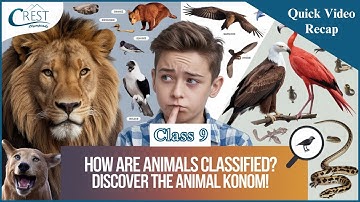 Class 9 | Classification Of Kingdom Animalia | Science Olympiad | CREST Olympiads