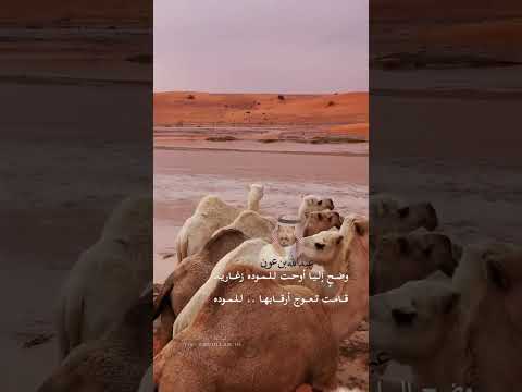 عبدالله بن عون ليت السحاب