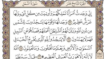 سورة النمل مكتوبة   محمد أيوب