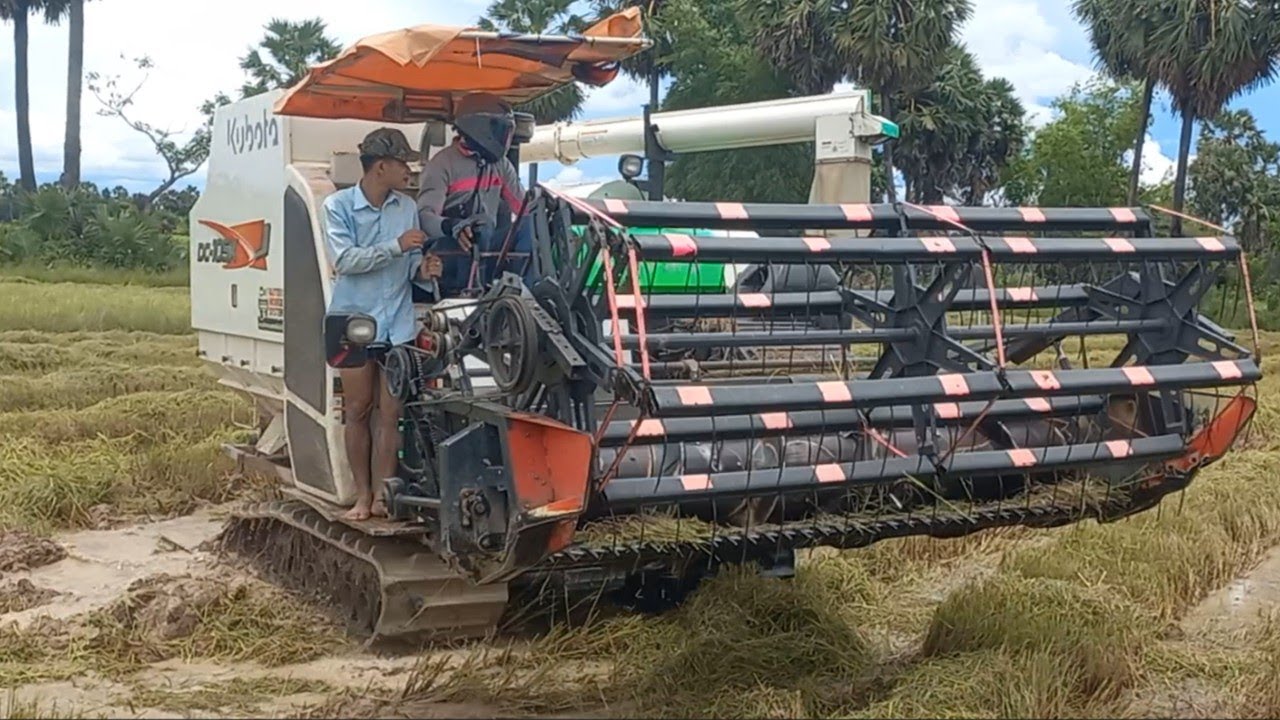 Kubota DC-105X Harvester, Harvesting Machine, Cambodian Agriculture Working Farmer Equipment