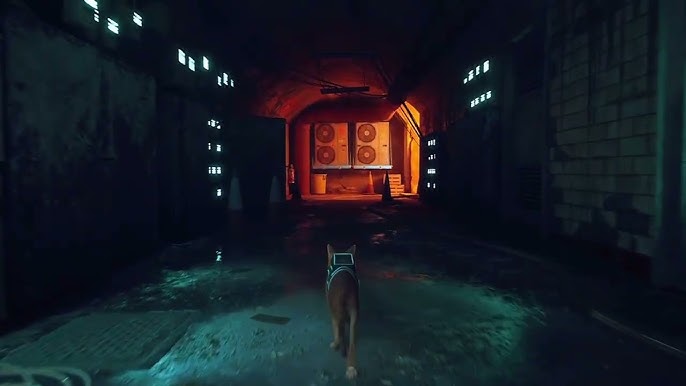 See Stray Played In First-Person Perspective