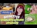 HUGE PET SNAIL CAGE UPGRADE+ HAUL🐌