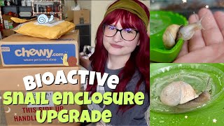 HUGE PET SNAIL CAGE UPGRADE+ HAUL🐌