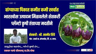 वांग्याच्या पिकात कमीत कमी खर्चात भारखोस उत्पादन मिळवलेले शेतकरी | Brinjal | Planto | Bio Fertilizer