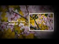 قراءة حجازية مميزة من سورة الحجر للشيخ محمد الغزالي قراءة حجازية مميزة من سورة الحجر للشيخ محمد الغزالي