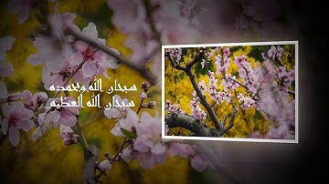 قراءة حجازية مميزة من سورة الحجر للشيخ محمد الغزالي