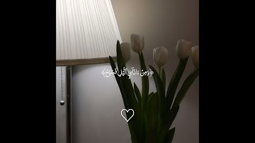 تلاوة تريح القلوب🎧😴 من الشيخ محمد أيوب❤️✨️ #قرآن #محمد_ايوب #اذكرو_الله #صلوا_على_النبي #راحة_نفسية