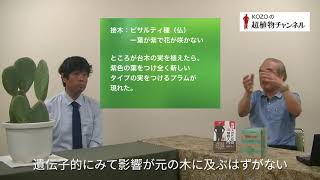 第6回 園芸の魔術師バーバンク②ー「実生」に秘められた植物を変化させる力【KOZOの超植物チャンネル】