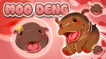 What is Moo Deng? - Thai Hippo Memecoin Explained