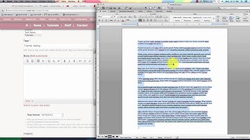 CkEditor Paste Button - Luggage