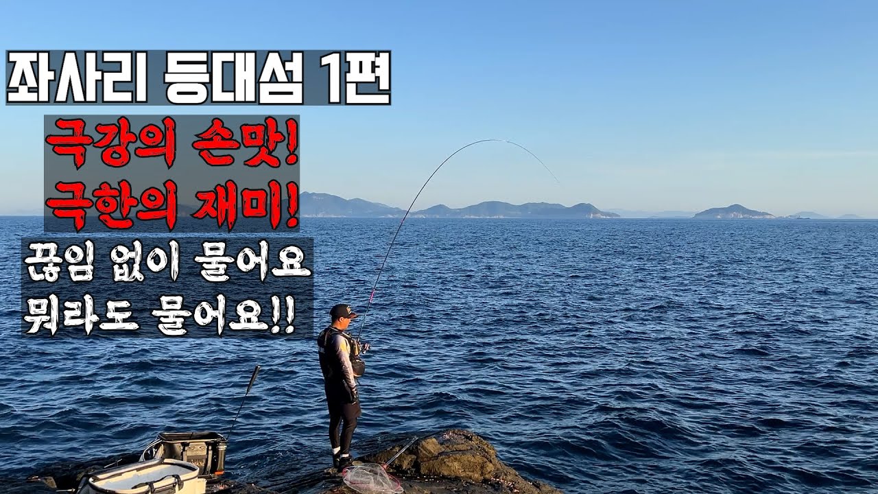 좌사리 갯바위 낚시 무차별 입질 폭격 팔이 아프게 물어요. 