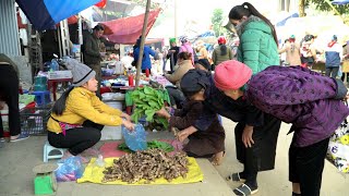 Ginger Harvesting Season & Green Vegetables goes to the market sell goods | Lý Thị Ca