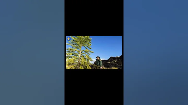 10 Most Unusual Trees in The World  #facts #top10