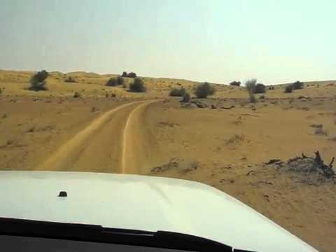 Landscapes of the Dubai Desert Conservation Reserve and driving through them