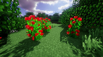 1440p HDR Rec.2020 HLG 10-bit Test