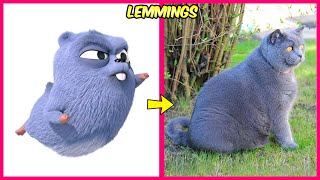 🐻 Grizzy & The Lemmings 🔥 Real Life Resimi