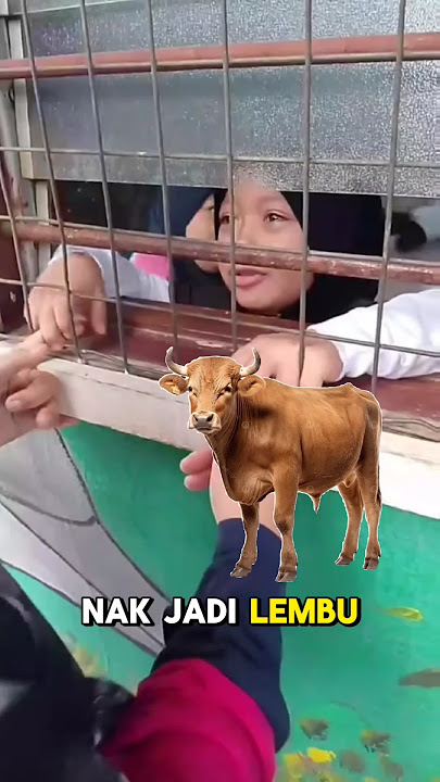 tak nak pandai, nak jadi lembu 😭😭😭 #bocil #shorts