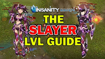 Slayer Fast Leveling Guide - Insanity Flyff