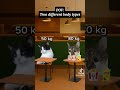 Why is this so true🤣 #fyp #shorts #cat #catmemes #makeitviral #makemefamous