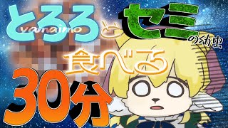 【 はじめての セミ 】ちまきすずに餌を与えよう！実食編【 ※ 咀嚼音 手元あり 注意 】