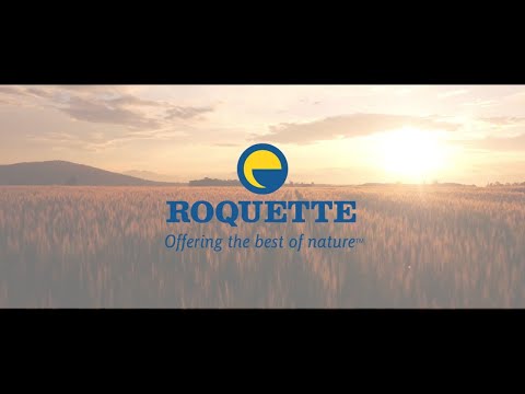 Vidéo: Roquette